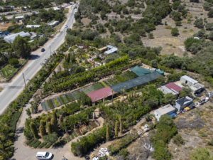 Bodrum_Fidanlık (1)