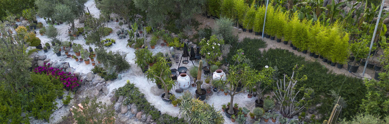 Bodrum_Fidanlık (10)