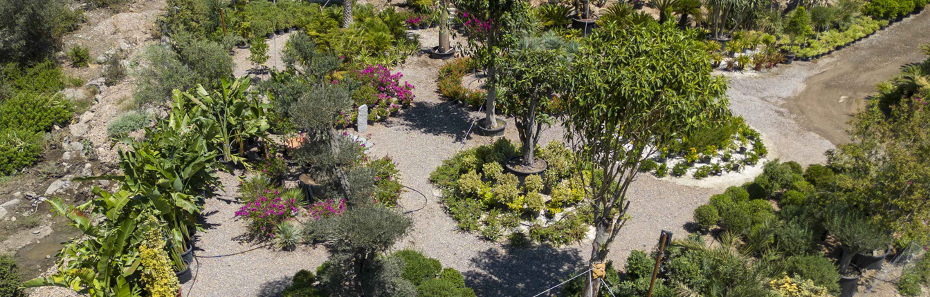 Bodrum_Fidanlık (4)