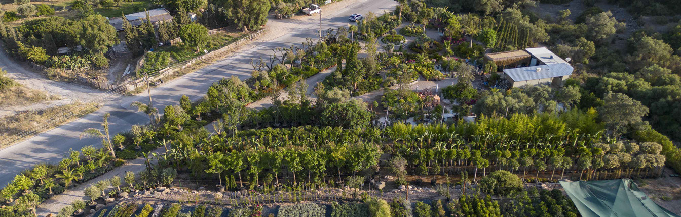 Bodrum_Fidanlık (7)