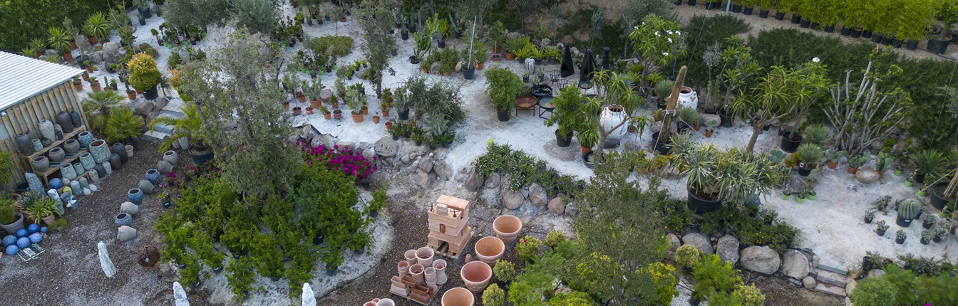 Bodrum_Fidanlık (9)